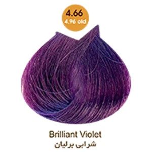 رنگ مو آرتین حجم 100 میل رنگ مو شرابی شماره 4.66