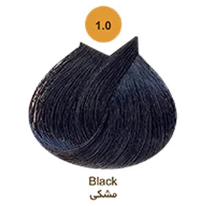 رنگ مو آرتین حجم 100 میل سری طبیعی شماره 1.0