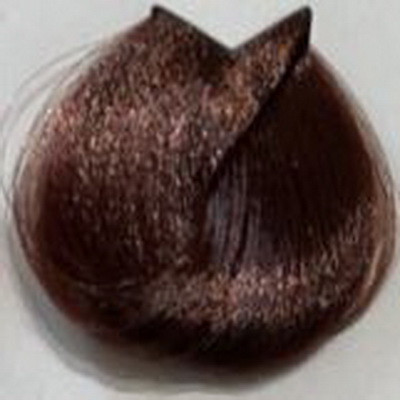 رنگ مو آرتین حجم 100 میل شماره 6.69 شاه بلوطی